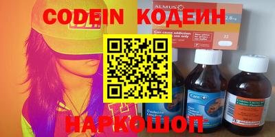 Альфа ПВП Можга