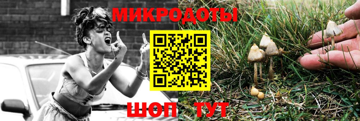 Псилоцибиновые грибы Psilocybine cubensis Тихвин